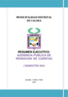 Vista preliminar de documento RESUMEN EJECUTIVO 2024 II