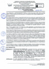 Vista preliminar de documento RD Nº 124-2024