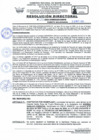 Vista preliminar de documento RD Nº 125-2024