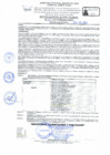 Vista preliminar de documento RD Nº 131-2024