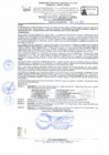 Vista preliminar de documento RD Nº 132-2024