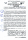 Vista preliminar de documento RD Nº 134-2024