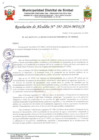 Vista preliminar de documento resolución 197