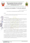 Vista preliminar de documento resolución 198