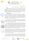 Vista preliminar de documento RESOLUCIÓN DE GERENCIA N° 0184