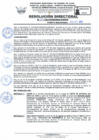 Vista preliminar de documento RD Nº 162-2024