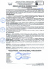 Vista preliminar de documento RD Nº 167-2024