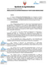 Vista preliminar de documento RESOLUCION DE SUPERINTENDENCIA-000176-2024-MIGRACIONES