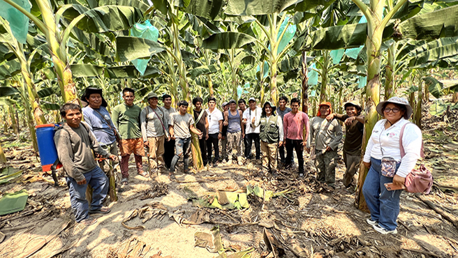Productores de la comunidad nativa de Gloriabamba