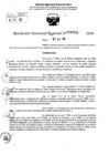 Vista preliminar de documento RDR 6731-2024