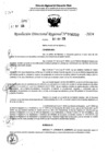 Vista preliminar de documento RDR 6732-2024