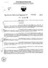Vista preliminar de documento RDR 6737-2024