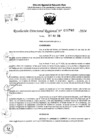 Vista preliminar de documento RDR 6740-2024