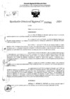 Vista preliminar de documento RDR 6741-2024