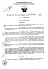 Vista preliminar de documento RDR 6742-2024