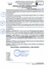 Vista preliminar de documento RD Nº 181-2024