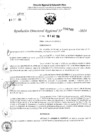 Vista preliminar de documento RDR 6748-2024