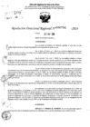 Vista preliminar de documento RDR 6754-2024