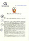 Vista preliminar de documento RD N°265-08-2024-DE-HCLLH-MINSA