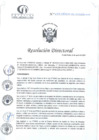 Vista preliminar de documento RD N°272-08-2024-DE-HCLLH-MINSA