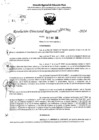 Vista preliminar de documento RDR 6761-2024