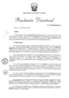 Vista preliminar de documento RD 177