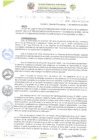 Vista preliminar de documento RESOLUCIÓN DE GERENCIA N° 0195