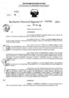 Vista preliminar de documento RDR 6766-2024