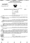 Vista preliminar de documento RDR 7180-2024