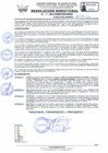 Vista preliminar de documento RD Nº 196-2024