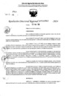 Vista preliminar de documento RDR 6767-2024