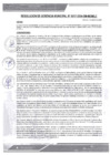 Vista preliminar de documento rgm-317