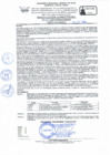 Vista preliminar de documento RD Nº 199-2024