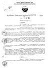 Vista preliminar de documento RDR 6770-2024