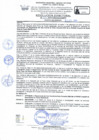 Vista preliminar de documento RD Nº 201-2024