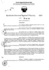 Vista preliminar de documento RDR 6772-2024
