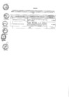 Vista preliminar de documento ANEXO RPE N° 045-2015-DV-PE
