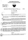 Vista preliminar de documento RDR 7193-2024