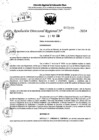 Vista preliminar de documento RDR 7195-2024