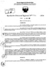 Vista preliminar de documento RDR 7196-2024
