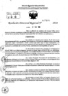 Vista preliminar de documento RDR 7198-2024