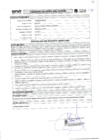Vista preliminar de documento 005 PERFIL DE PUESTOS CAS 009-2024-MPP