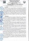 Vista preliminar de documento OM_20_2017
