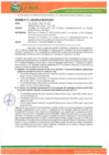 Vista preliminar de documento informe de evaluacion semestral PEI-POI
