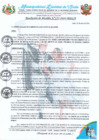 Vista preliminar de documento RA 155-2024 conformación y reconocimiento IAL