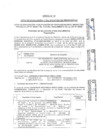 Vista preliminar de documento Anexo N.° 19