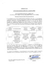 Vista preliminar de documento Anexo N.° 20