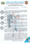 Vista preliminar de documento RA 162-2024 aprobación de DESAGREGACION DE RECURSOS DS 070-2024-EF
