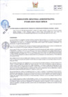 Vista preliminar de documento RJA-380-2024