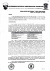 Vista preliminar de documento Resolucion